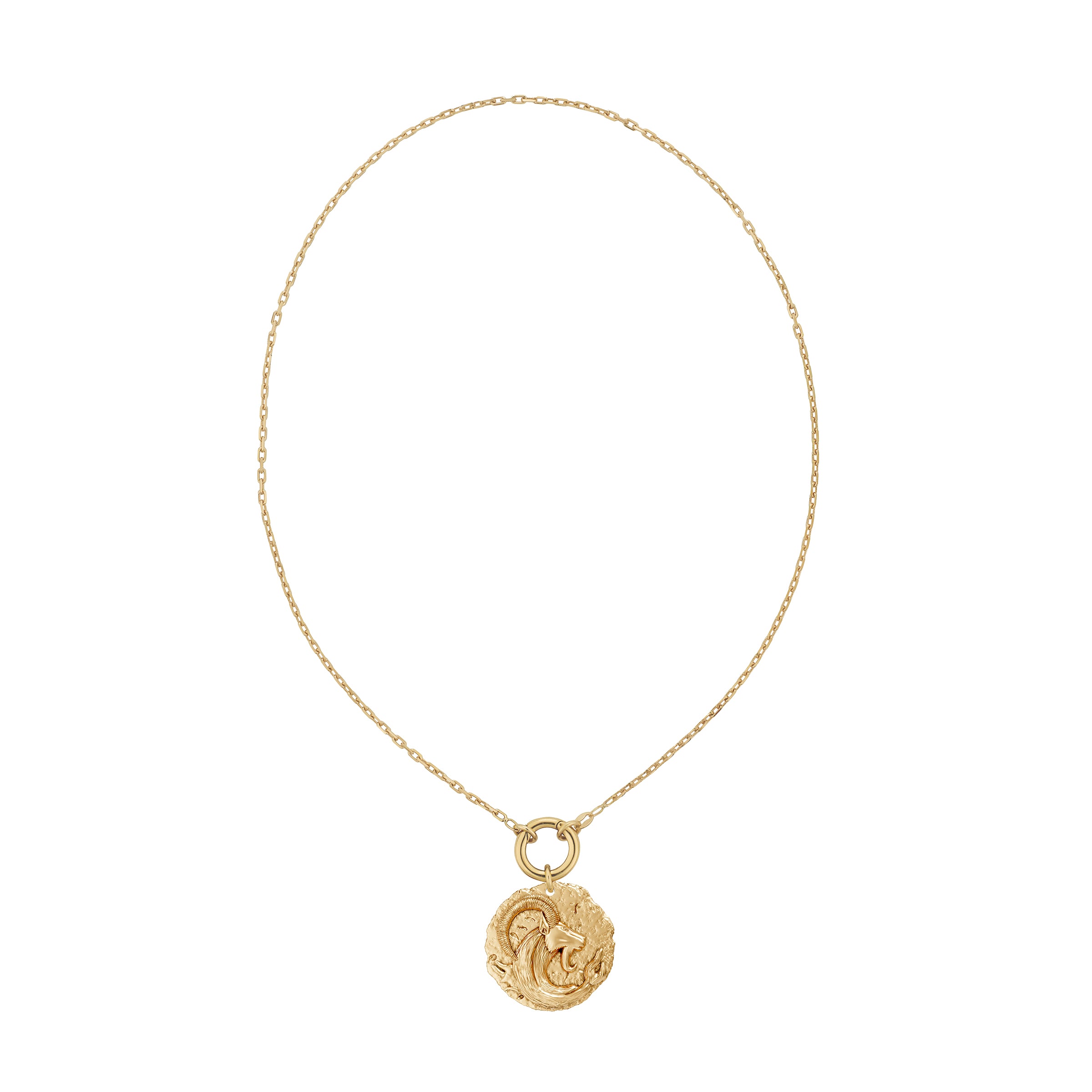 Gold necklace with a circular zodiac Capricorn pendant on a small link chain and a plain solid gold clasp on a white background