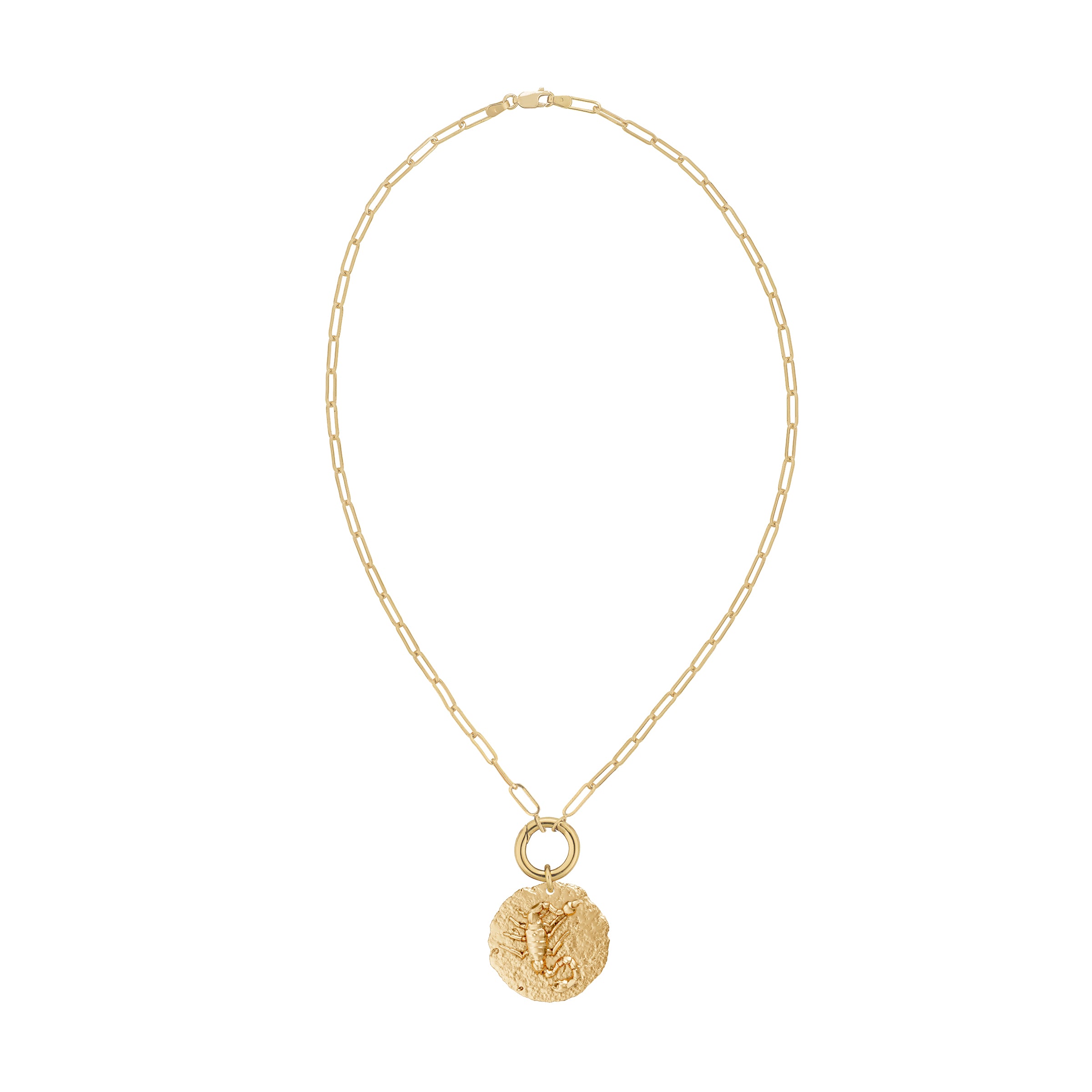 Gold necklace with a circular zodiac scorpio pendant on small link chain and plain solid gold clasp on a white background