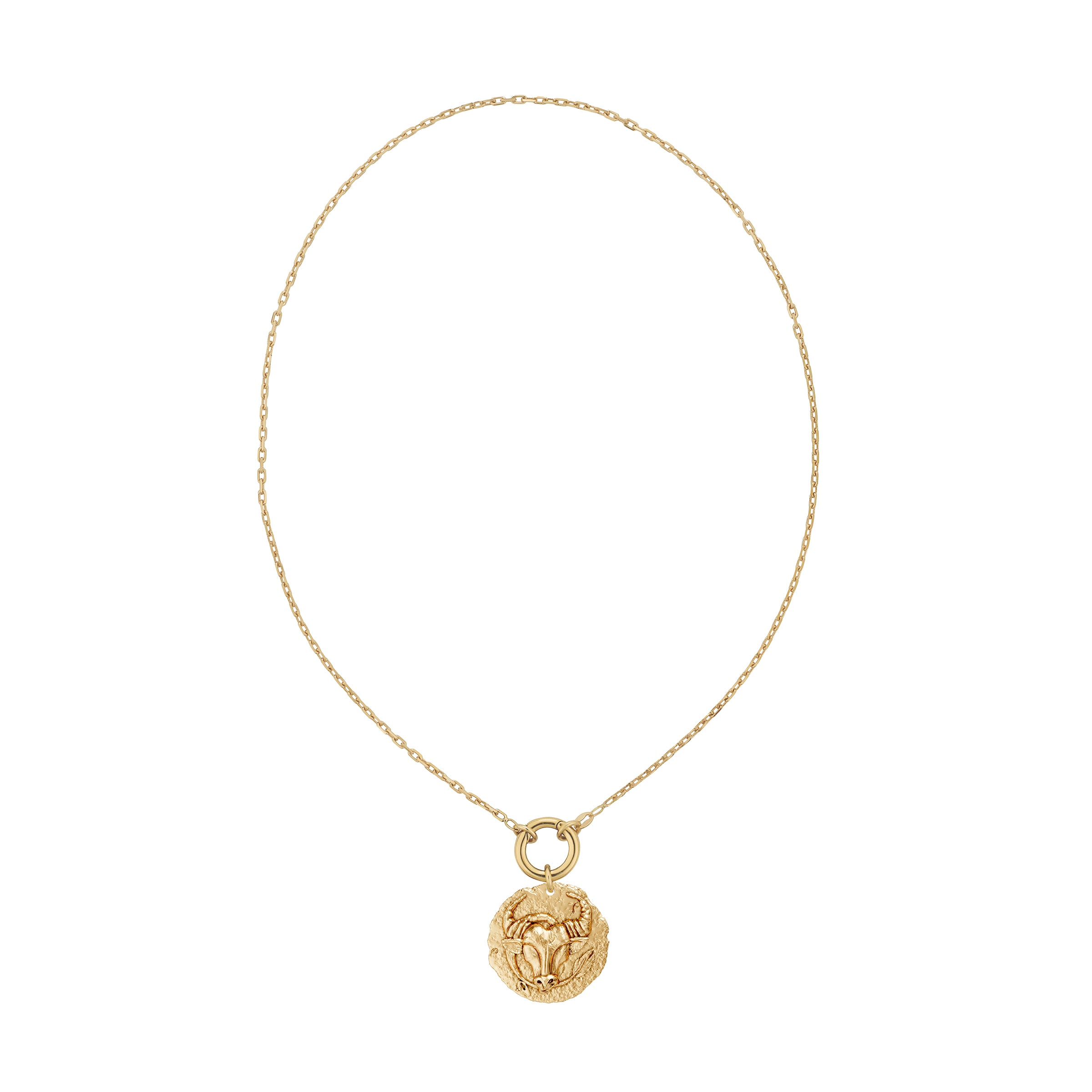 Gold necklace with a taurus zodiac pendant and a plain decorative clasp on a white background